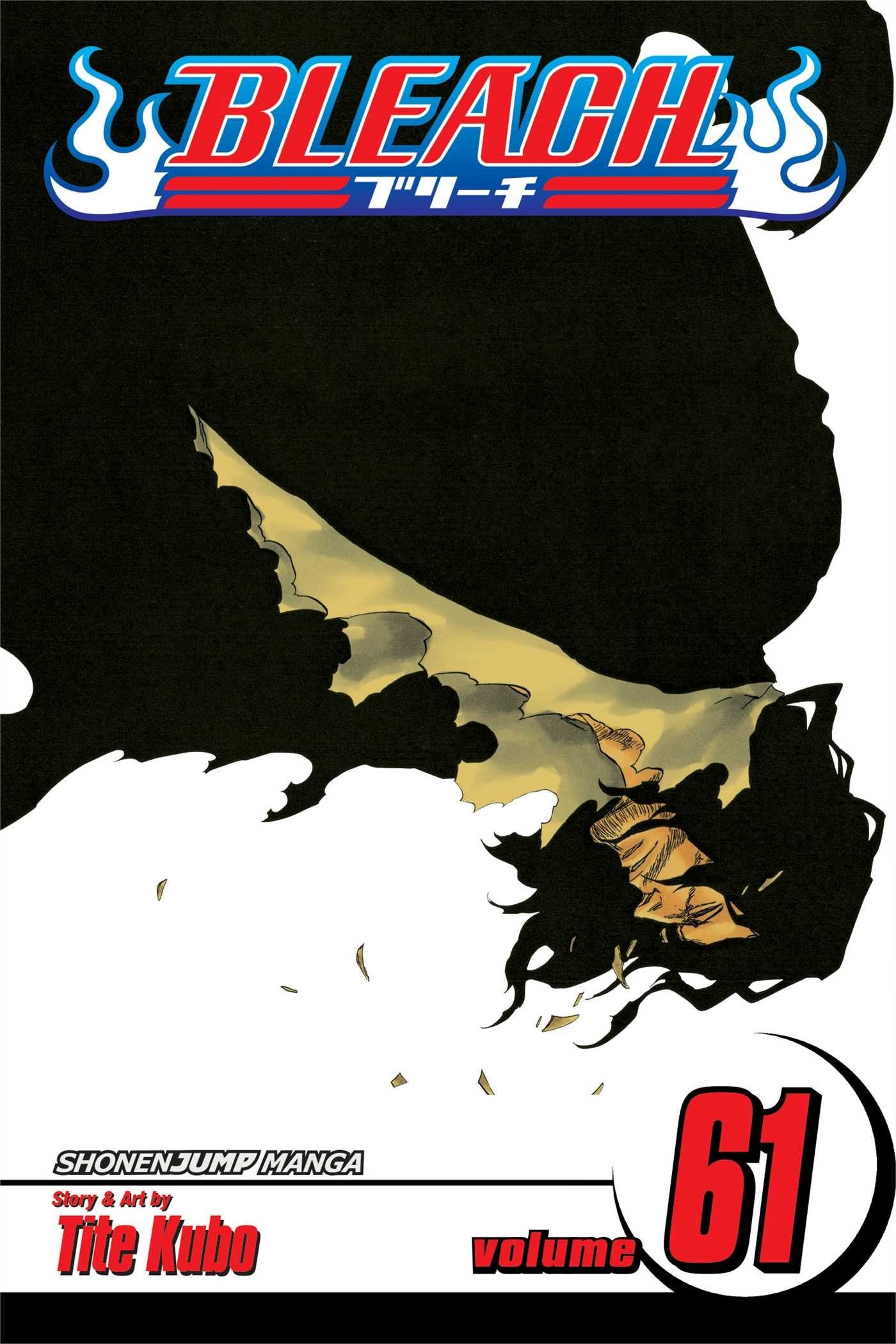 Bleach Volume 61: The Last 9 Days (BLEACH GN, Band 61) Manga