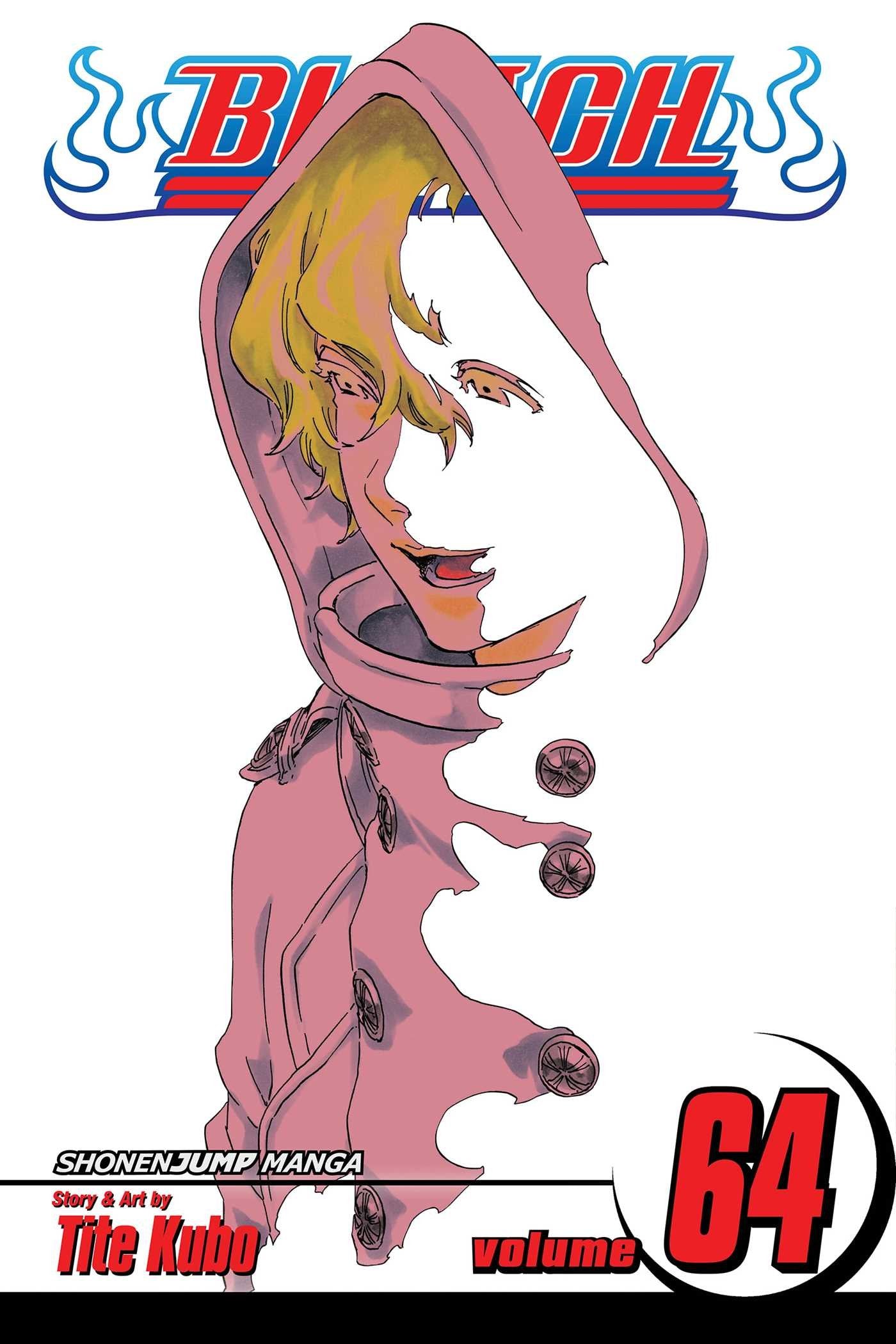 Bleach Volume 64: Death In Vision (BLEACH GN, Band 64) Manga