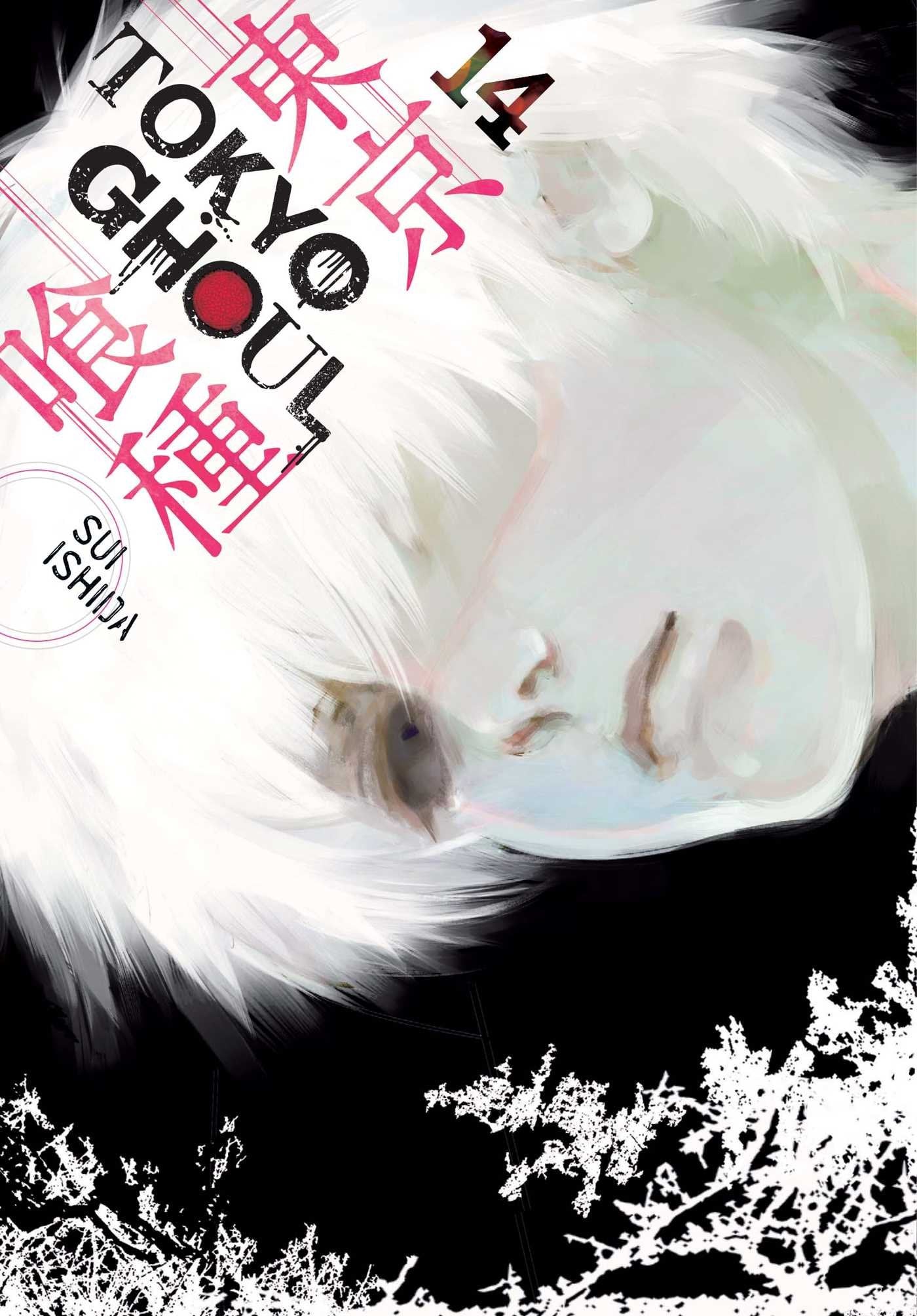 Tokyo Ghoul, Vol. 14 Horror & Mystery