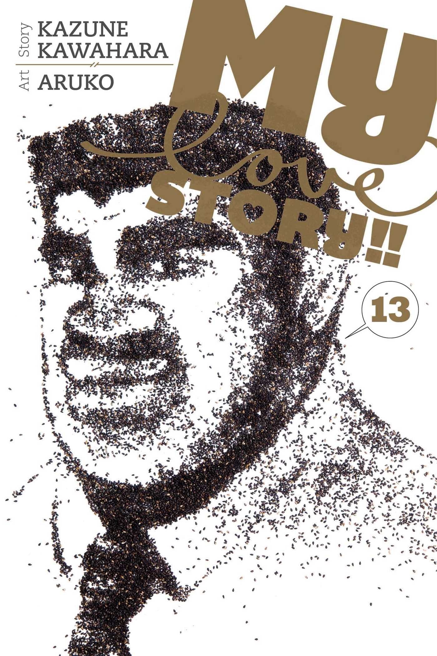 My Love Story!!, Vol. 13 Manga