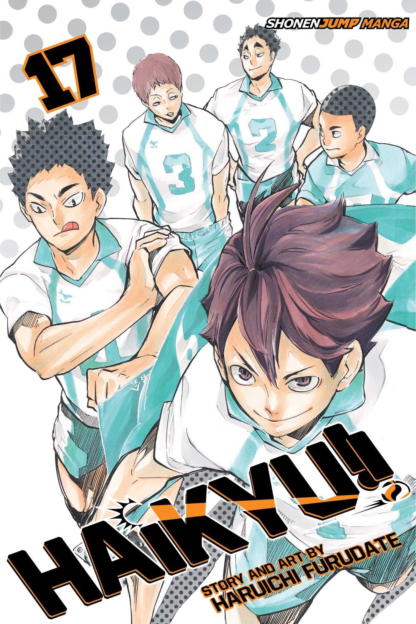 Haikyu!!, Vol. 17: Talent and Instinct (HAIKYU GN, Band 17) Manga