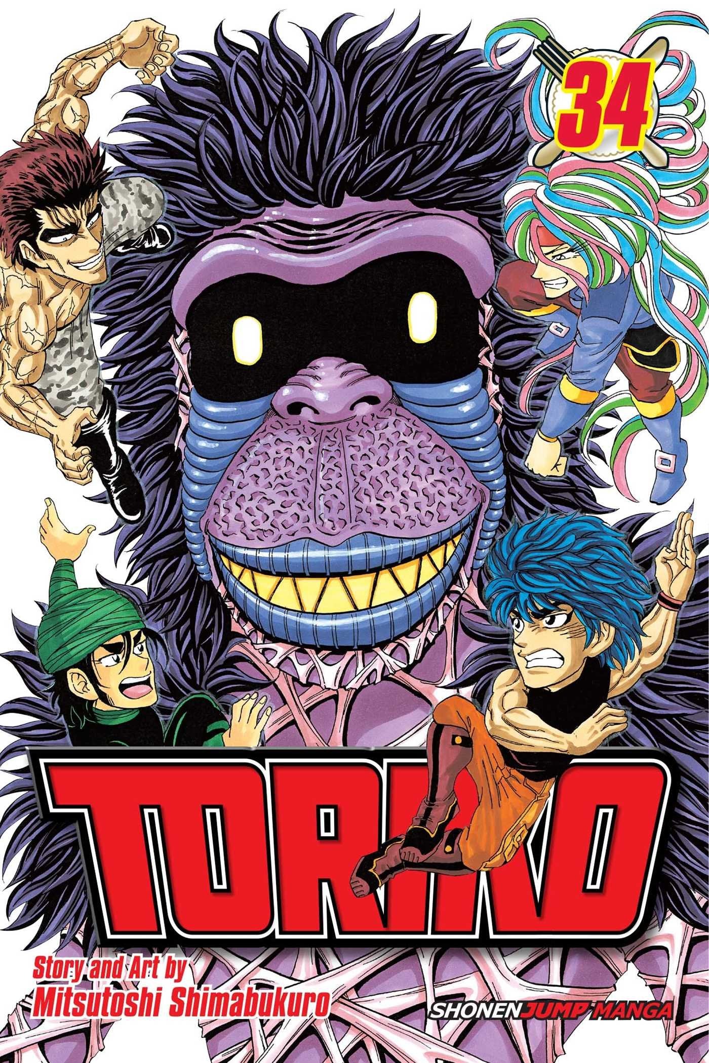 Toriko, Vol. 41: The King's Fight!! (TORIKO GN, Band 41) Manga