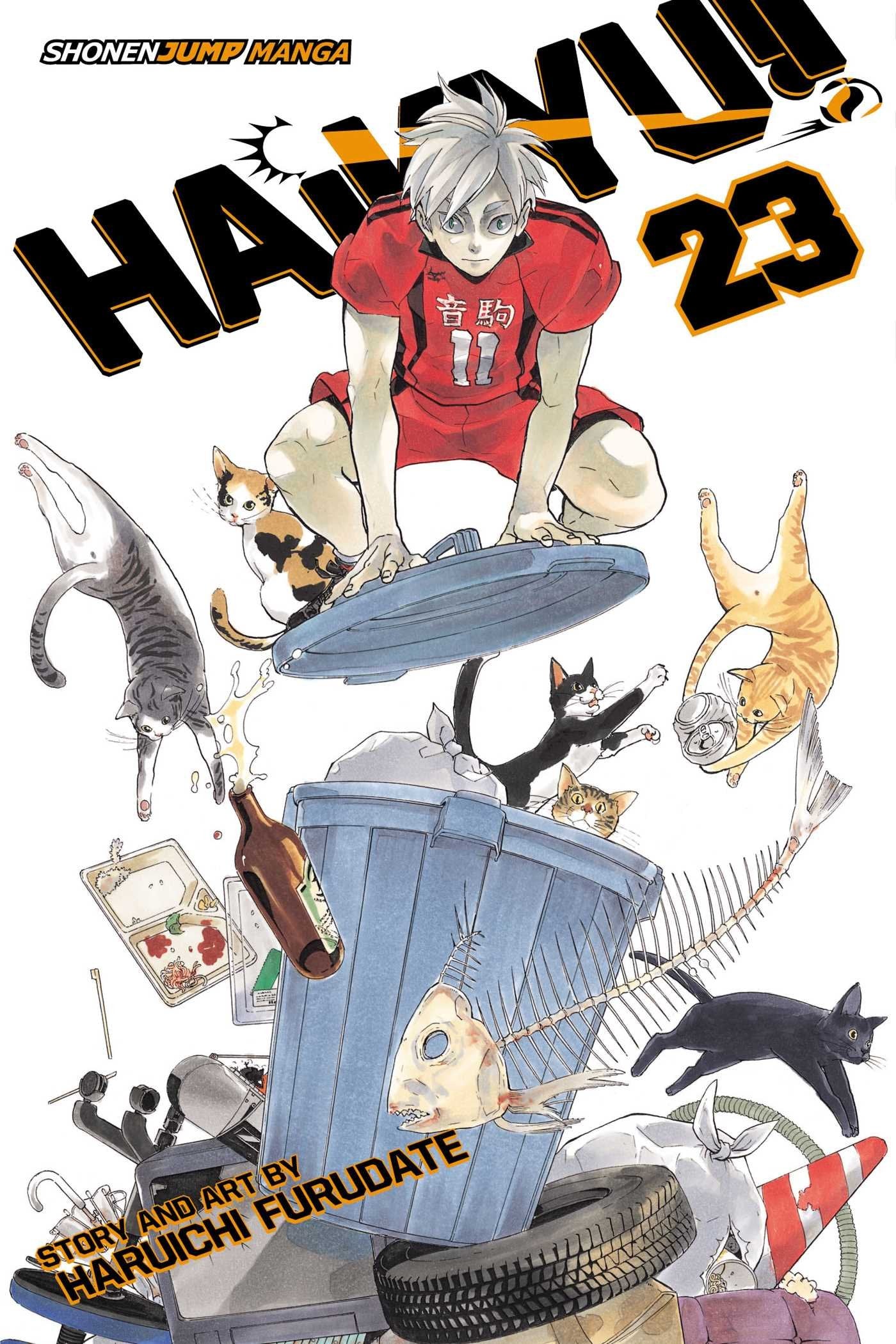 Product Image: Haikyu!! , Vol. 23