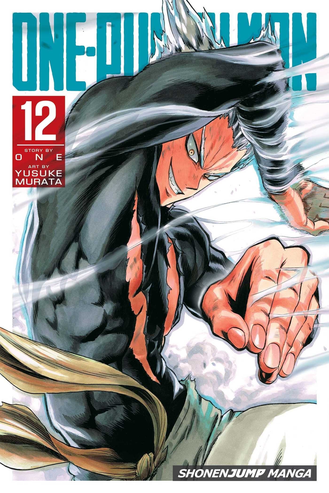 Product Image: One-Punch Man, Vol. 12