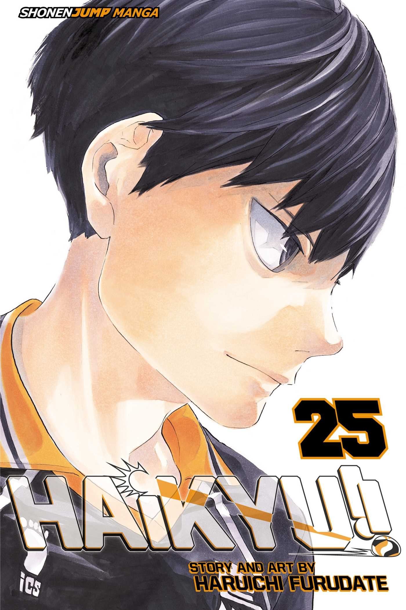 Product Image: Haikyu!!, Vol. 25
