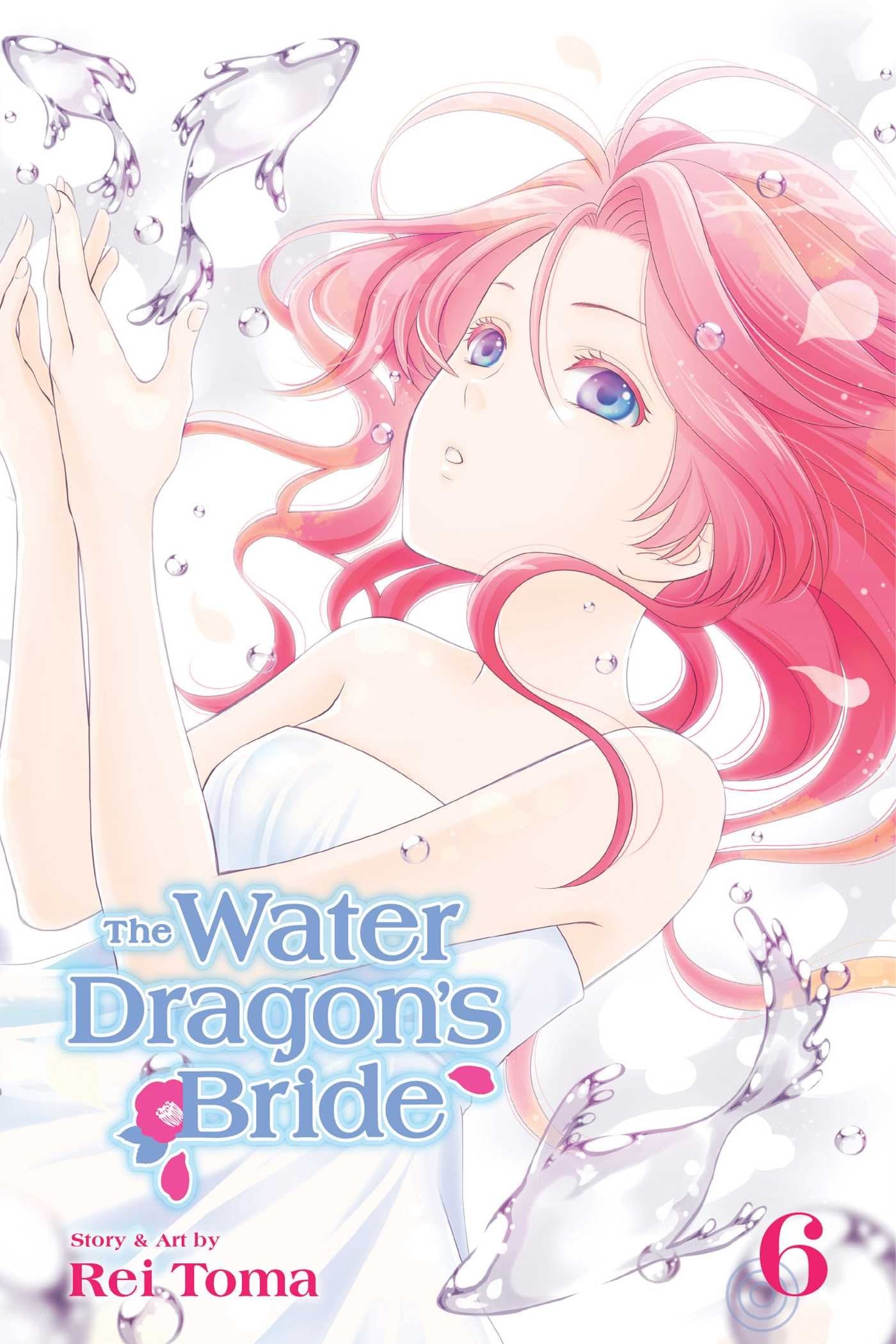 Water Dragon's Bride, Vol. 6 (WATER DRAGON BRIDE GN, Band 6) Contemporary literature