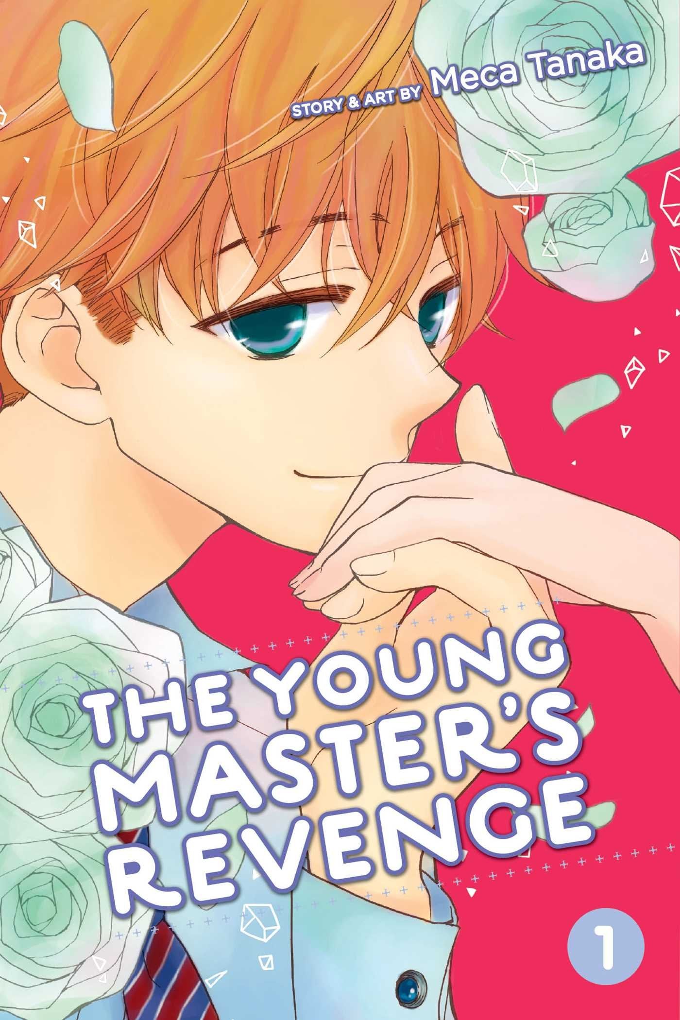Product Image: Young Master's Revenge, Vol. 1