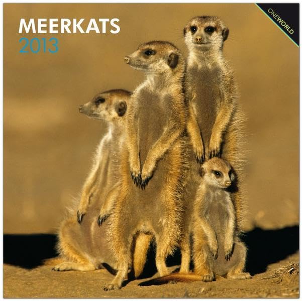 Meerkats 2013: Erdmännchen (Wall-Kalender) Leisure, Home & Garden