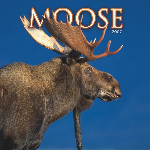 Product Image: Moose 2007 Calendar
