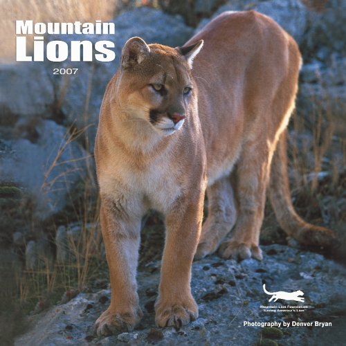 Mountain Lions 2007 Calendar Books