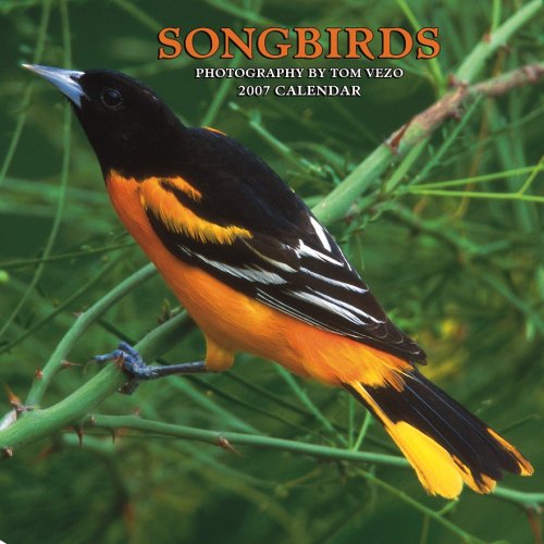 Songbirds 2007 Calendar Books