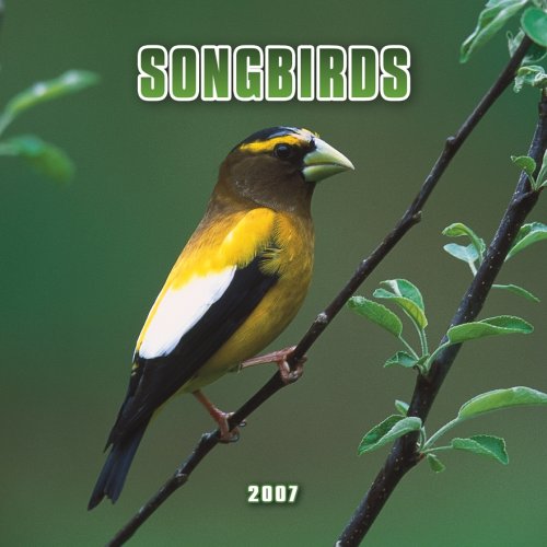 Songbirds 2007 Mini Calendar Books