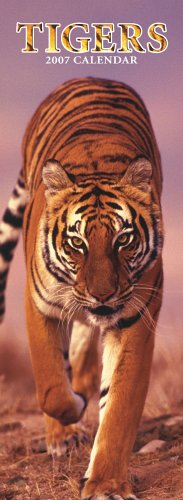 Tigers 2007 Slimline Calendar Books