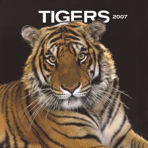 Tigers 2007 Mini Calendar Books