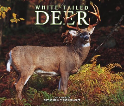 White-tailed Deer 2007 Deluxe Calendar Books