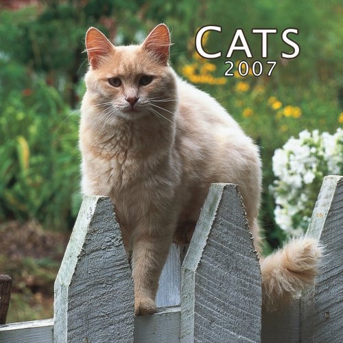 Cats 2007 Mini Calendar Books