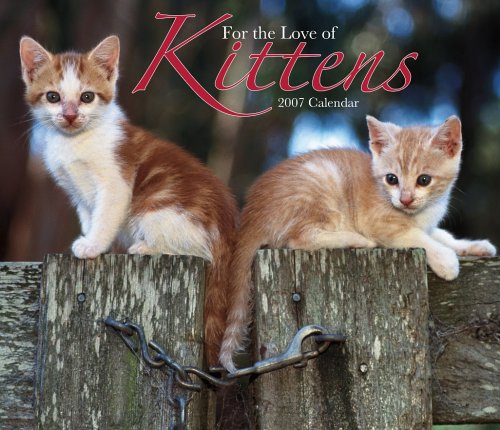 For the Love of Kittens 2007 Deluxe Calendar Books