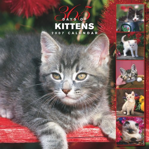 365 Days of Kittens 2007 Calendar Books
