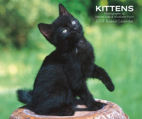 Kittens 2007 Calendar Books