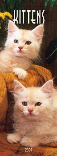 Kittens 2007 Slimline Calendar Books