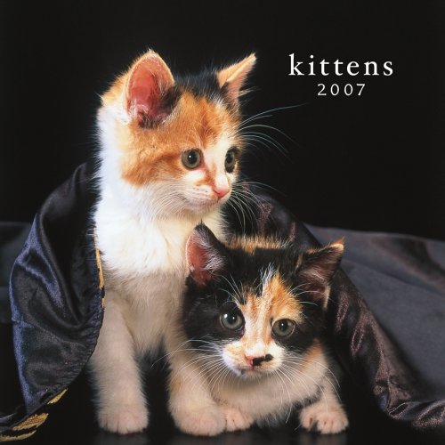 Kittens 2007 Mini Calendar Books
