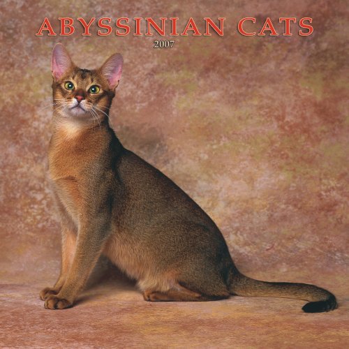 Abyssinian Cats 2007 Calendar Books