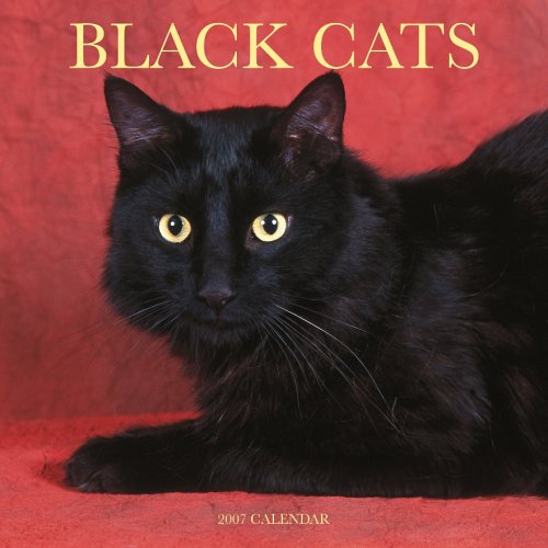 Black Cats 2007 Calendar Books