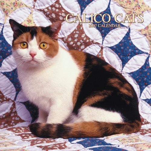 Calico Cats 2007 Calendar Books