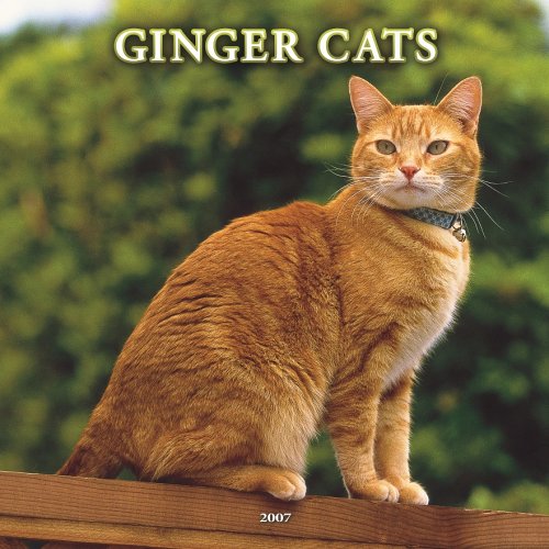 Ginger Cats 2007 Calendar Books