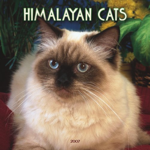Himalayan Cats 2007 Calendar Books