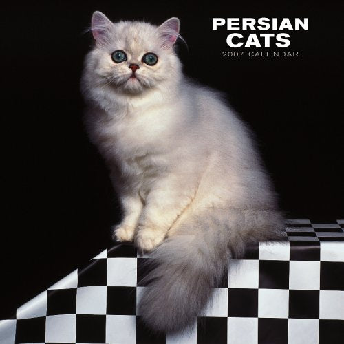 Persian Cats 2007 Calendar Books