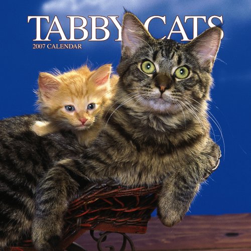 Tabby Cats 2007 Calendar Books