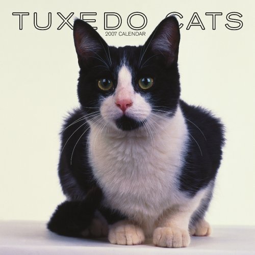 Tuxedo Cats 2007 Calendar Books