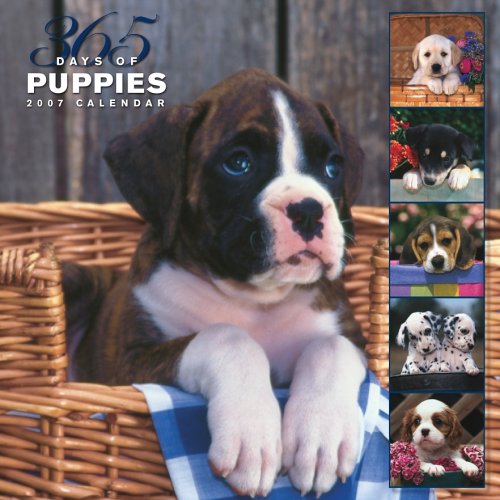 Puppies 365 Days 2007 Calendar Books