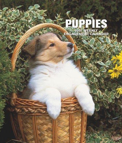 Puppies 2007 Weekly Calendar Books
