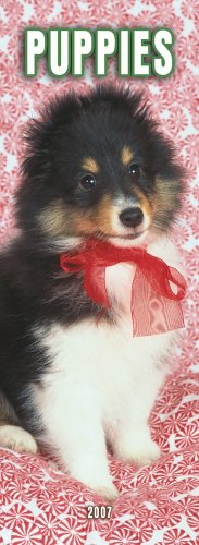 Puppies 2007 Slimline Calendar Books