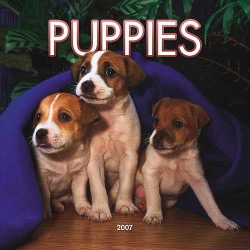 Puppies 2007 Mini Calendar Books