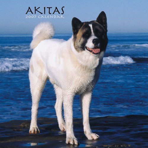 Akitas 2007 Calendar Books
