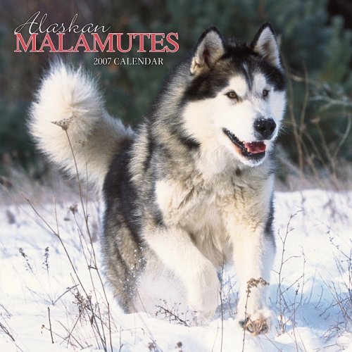 Alaskan Malamutes 2007 Calendar Books