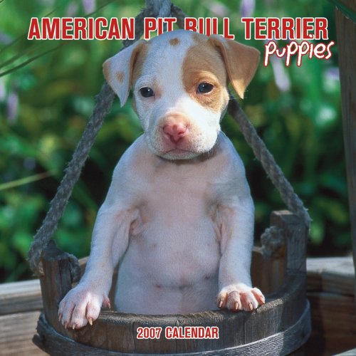 American Pit Bull Terrier Puppies 2007 Mini Calendar Books