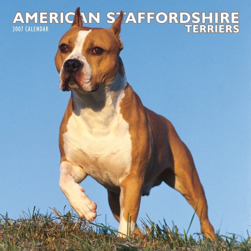 American Staffordshire Terriers 2007 Calendar Books