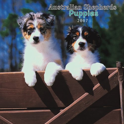 Australian Shepherd Puppies 2007 Mini Calendar Books