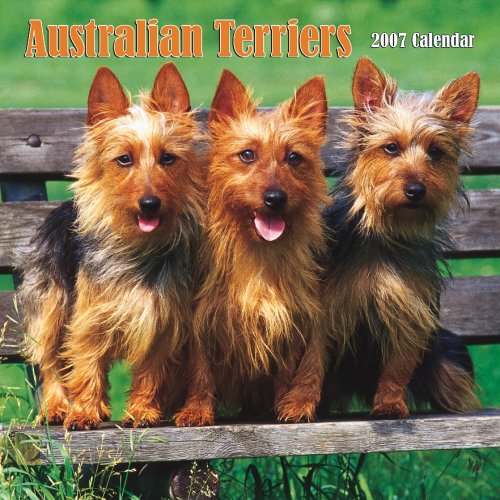 Australian Terriers 2007 Calendar Books