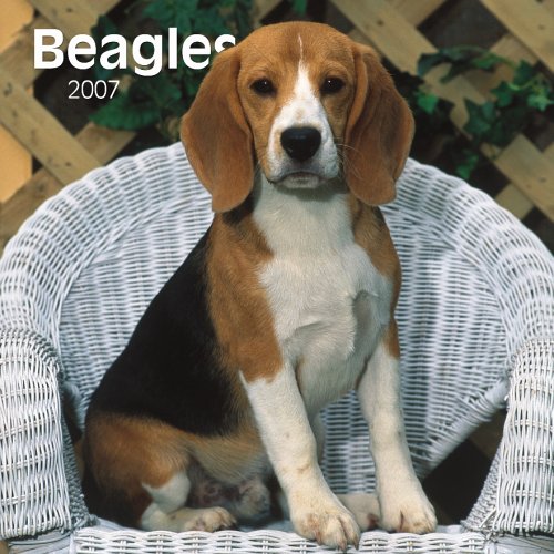 Beagles 2007 Calendar Books