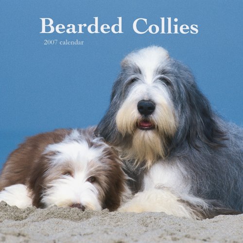 Bearded Collies 2007 Calendar Books