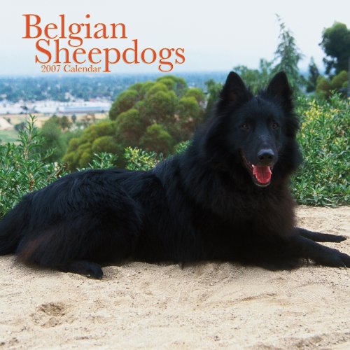 Belgian Sheepdogs 2007 Calendar Books