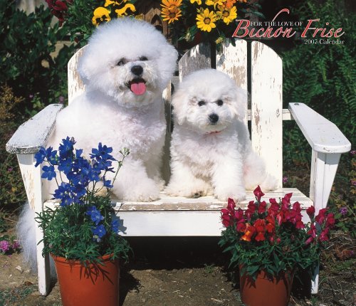 For the Love of Bichon Frise 2007 Deluxe Calendar Books