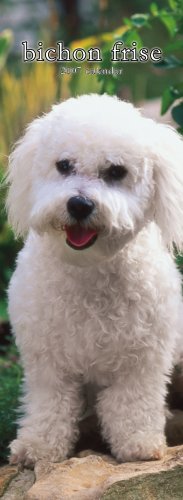 Bichon Frise 2007 Slimline Calendar Books