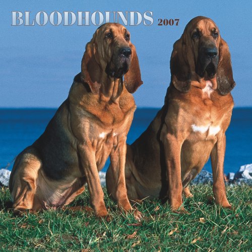 Bloodhounds 2007 Calendar Books