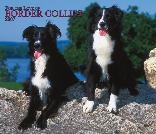 For the Love of Border Collies 2007 Deluxe Calendar Books